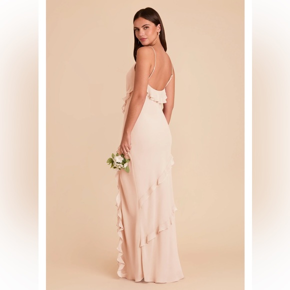 NWT Birdy Grey Valentina Chiffon Maxi Dress in Pale Blush - Picture 7 of 7